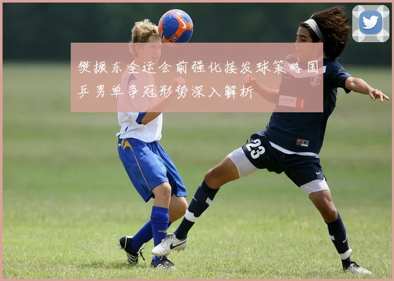 樊振东全运会前强化接发球策略国乒男单争冠形势深入解析