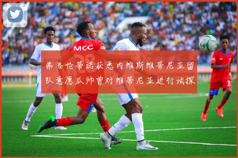 弗洛伦蒂诺获悉内维斯维蒂尼亚留队意愿瓜帅曾对维蒂尼亚进行试探