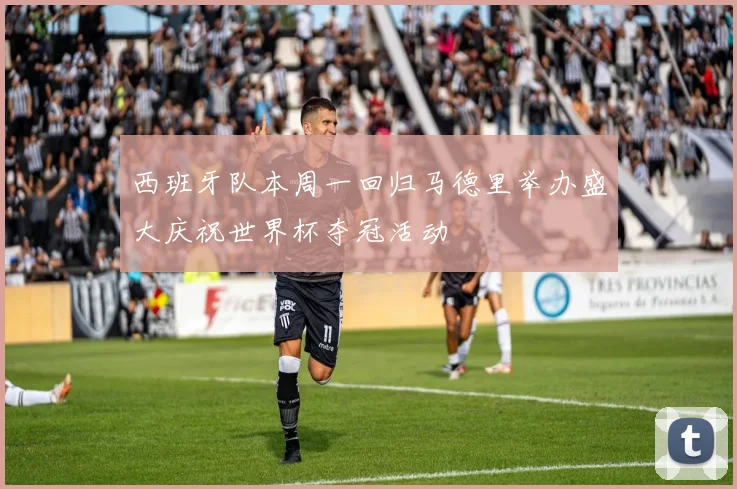 西班牙队本周一回归马德里举办盛大庆祝世界杯夺冠活动